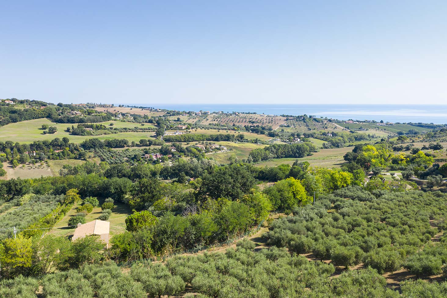 DJI_0225.jpg
